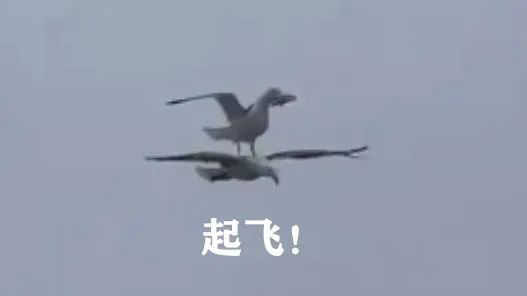 image.png ""